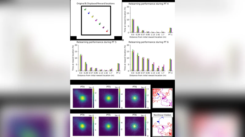 Black holes through cosmic time: Exploring the distant X-ray Universe   with extragalactic Chandra surveys