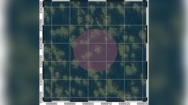 Linking Sap Flow Measurements with Earth Observations