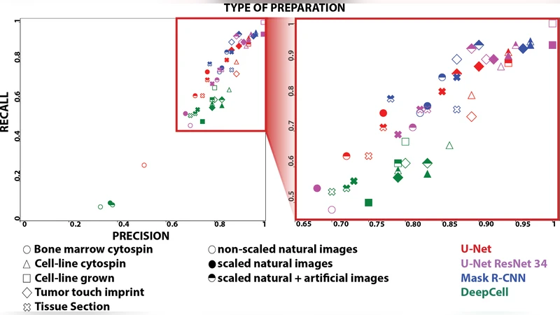 Deep Learning architectures for generalized immunofluorescence based   nuclear image segmentation