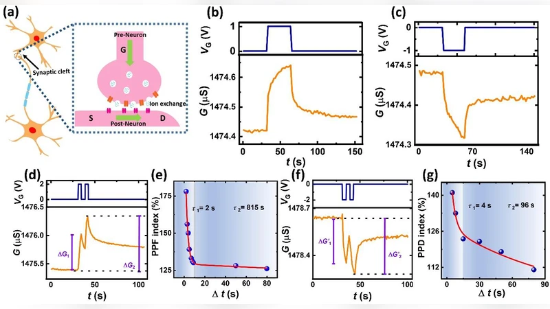 A Paley-Wiener Theorem for Periodic Scattering with Applications to the   Korteweg-de Vries Equation