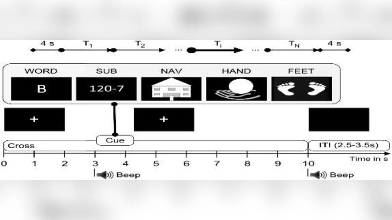 Cold Fronts from Shock Collisions