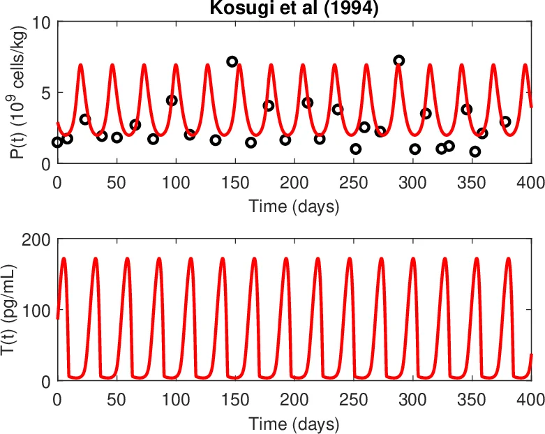 Normal and pathological dynamics of platelets in humans