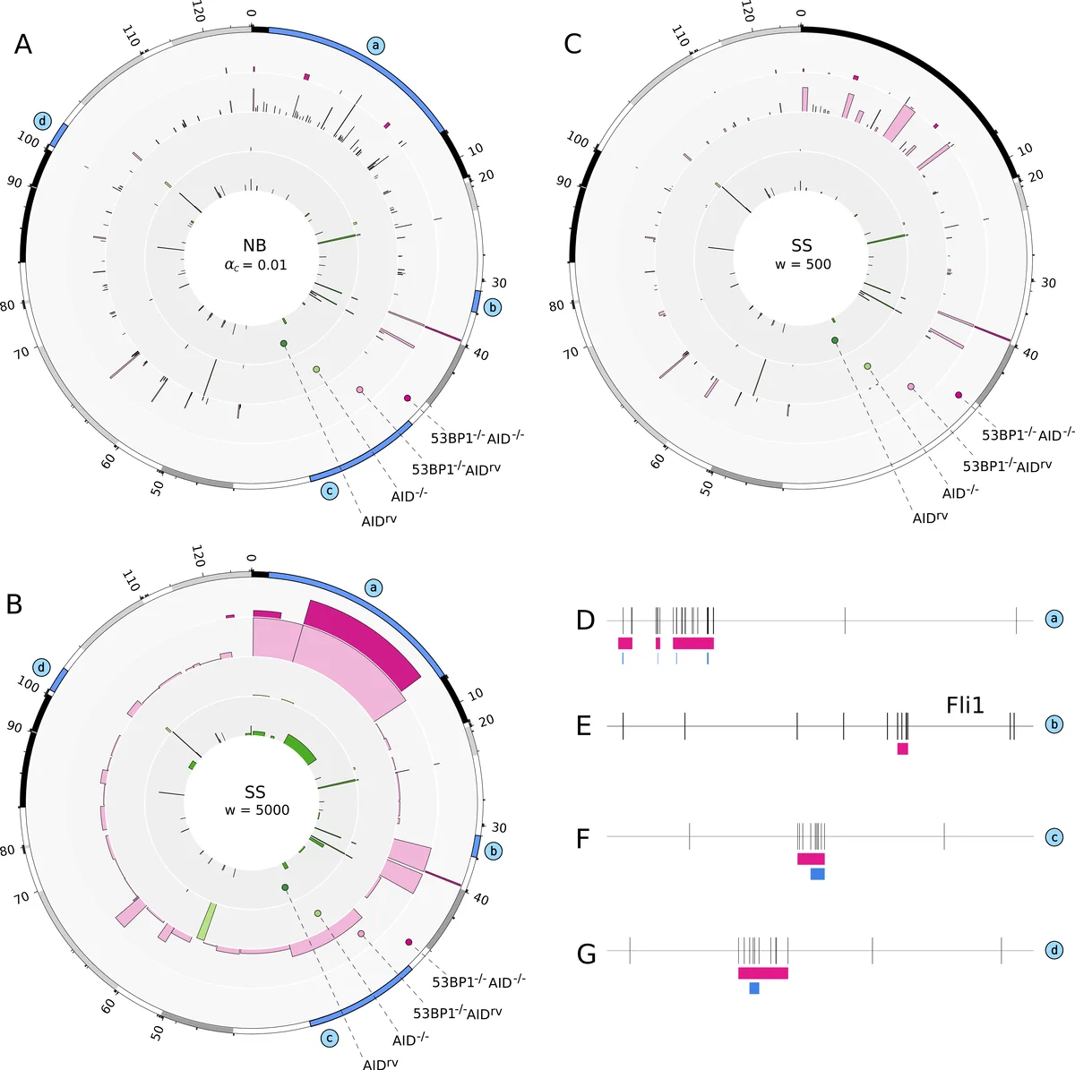 Identification of cromosomal translocation hotspots via scan statistics