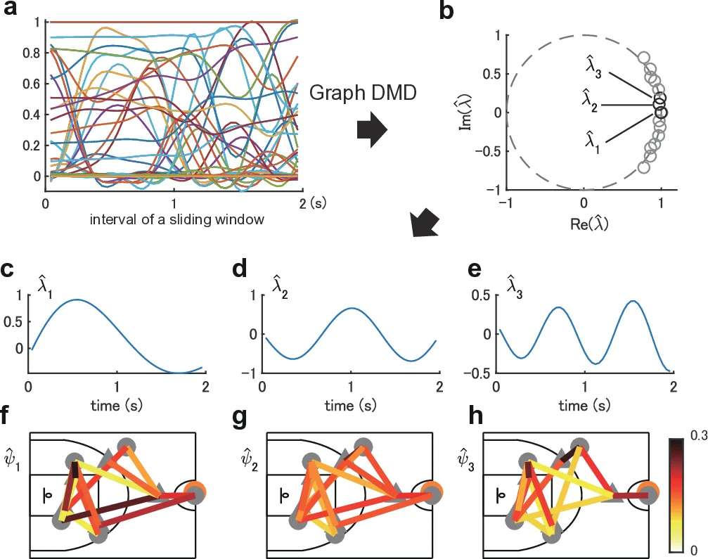 Physically-interpretable classification of biological network dynamics   for complex collective motions