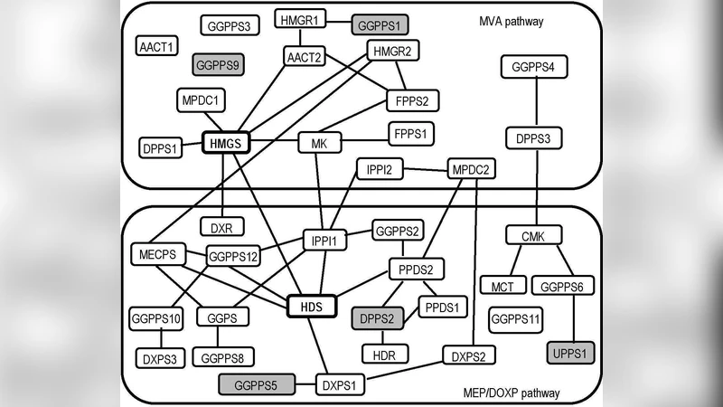 A comparative study of Gaussian Graphical Model approaches for genomic   data