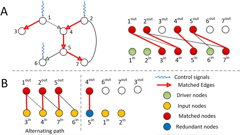 Altering nodes types in controlling complex networks
