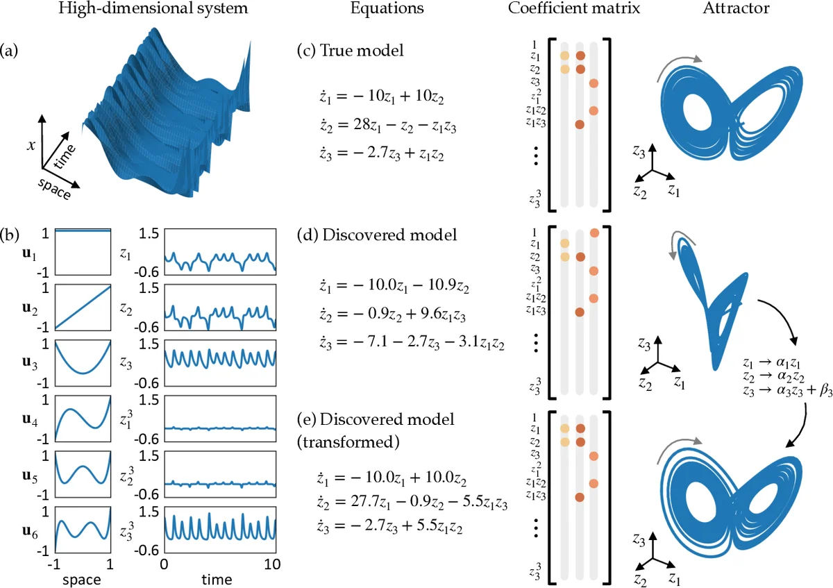 Data-driven discovery of coordinates and governing equations