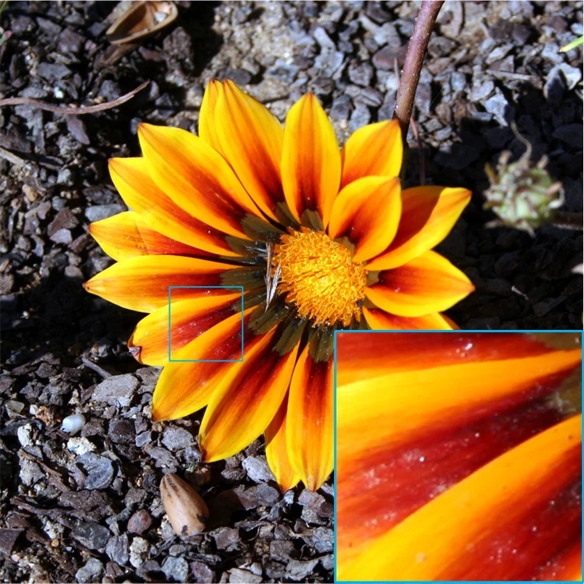 Improved Hybrid Layered Image Compression using Deep Learning and   Traditional Codecs