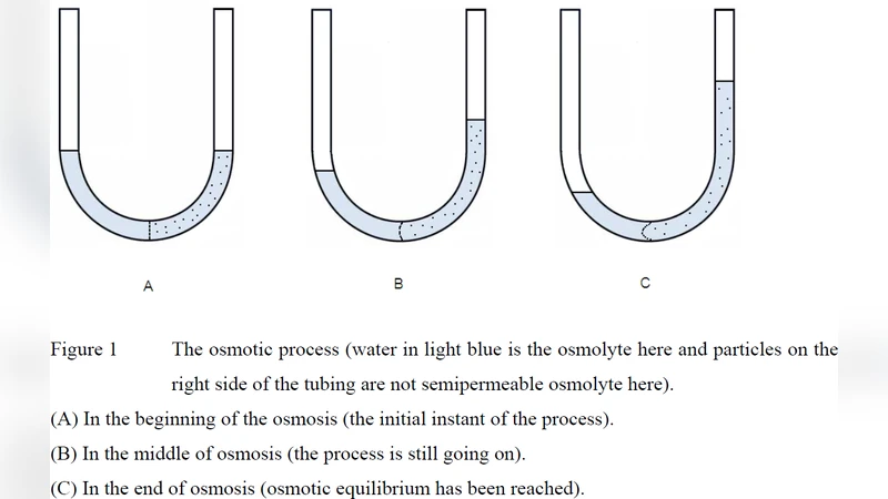 Experimental Evidence Supporting a New "Osmosis Law & Theory" Derived   New Formula that Improves vant Hoff Osmotic Pressure Equation