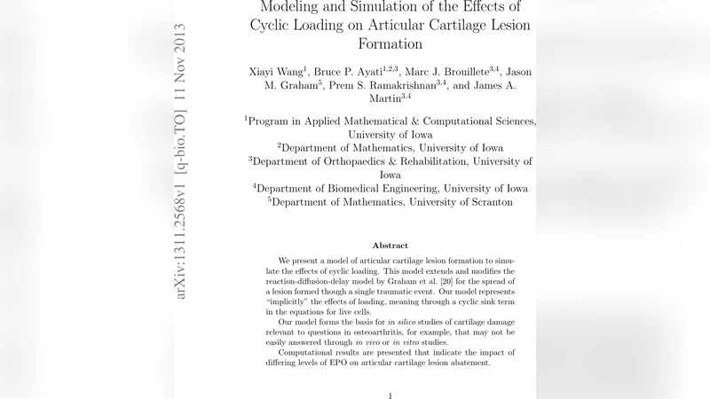 Modeling and Simulation of the Effects of Cyclic Loading on Articular   Cartilage Lesion Formation