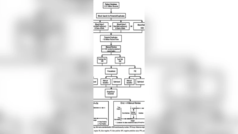 Review on Master Patient Index