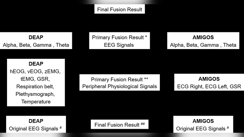 Multimodal Affective States Recognition Based on Multiscale CNNs and   Biologically Inspired Decision Fusion Model