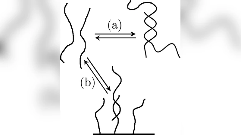 Computing equilibrium concentrations for large heterodimerization   networks