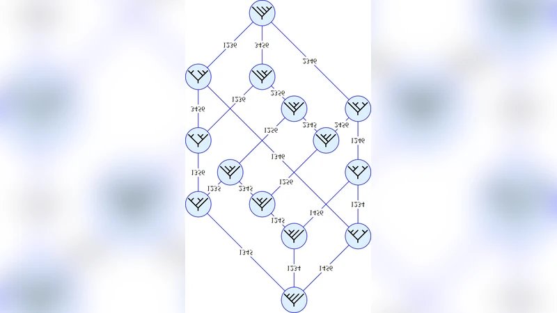 KP solitons, higher Bruhat and Tamari orders