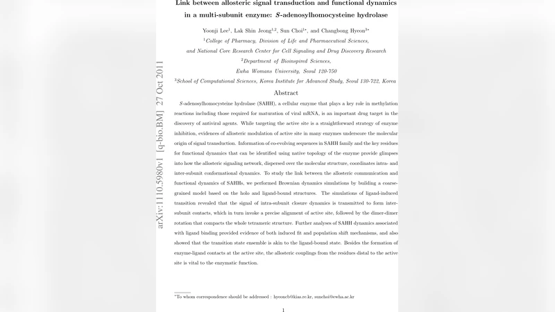 Link between allosteric signal transduction and functional dynamics in a   multi-subunit enzyme: S-adenosylhomocysteine hydrolase