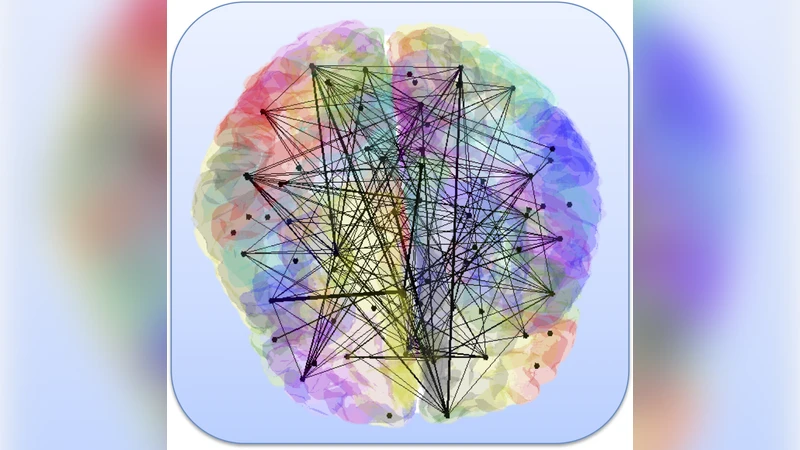 Magnetic Resonance Connectome Automated Pipeline