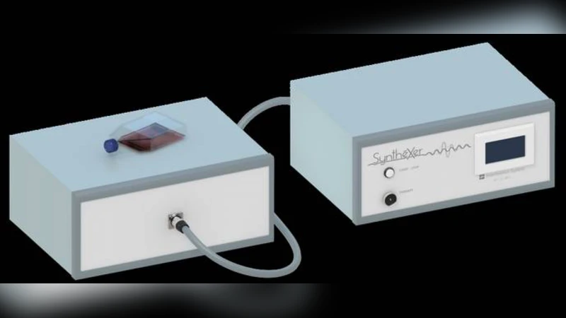 Specific low frequency electromagnetic fields induce epigenetic and   functional changes in U937 cells