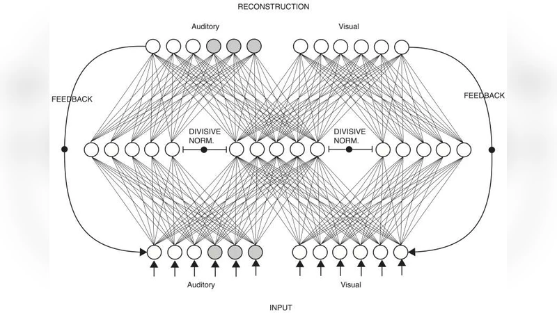 Closing the loop on multisensory interactions: A neural architecture for   multisensory causal inference and recalibration