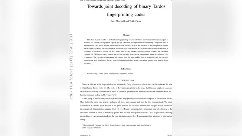 Towards joint decoding of binary Tardos fingerprinting codes