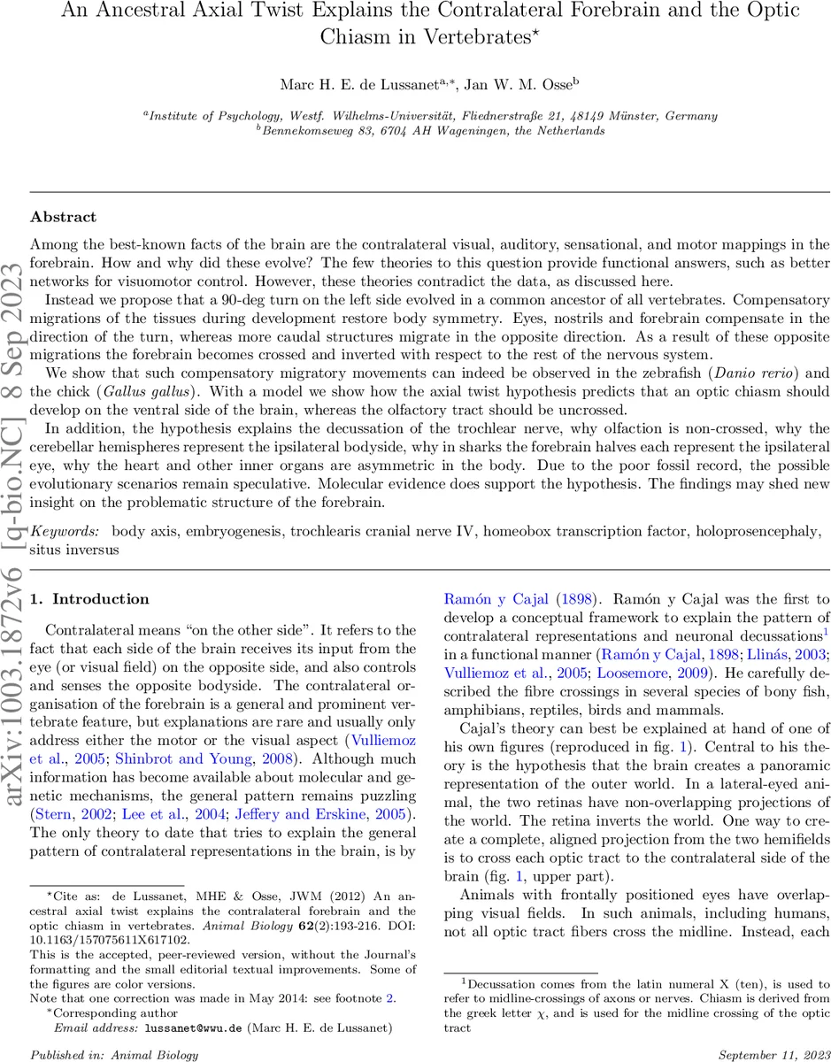 An ancestral axial twist explains the contralateral forebrain and the   optic chiasm in vertebrates