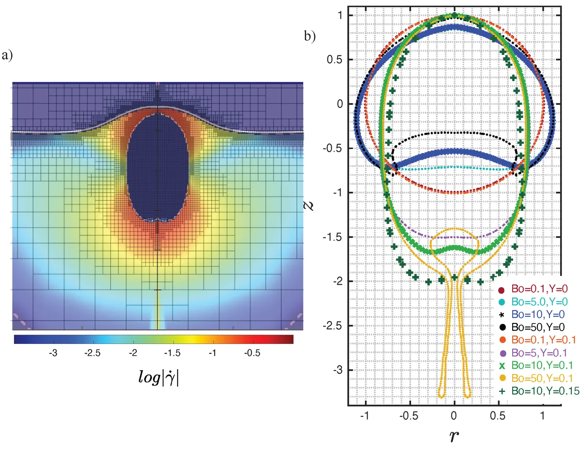 Bubble-Induced Entrainment at Viscoplastic-Newtonian Interfaces