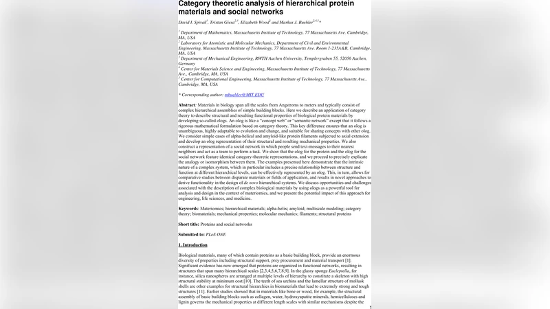 Category theoretic analysis of hierarchical protein materials and social   networks