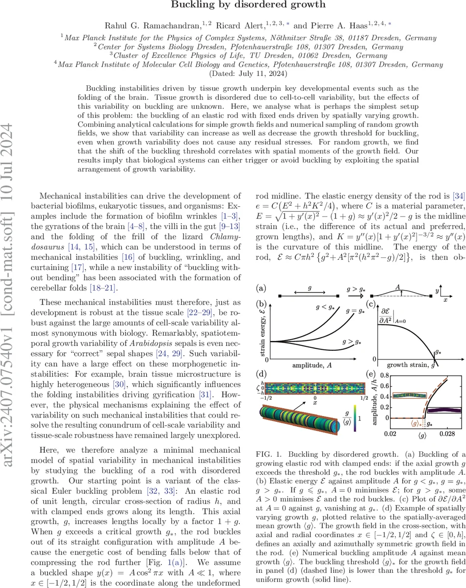 Colloquium: The Cosmic Dipole Anomaly