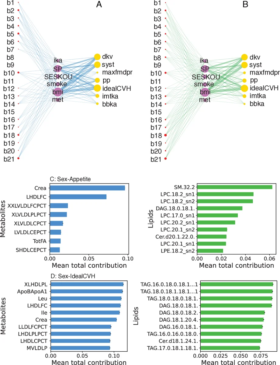 Multilayer Network of Cardiovascular Diseases and Depression via Multipartite Projection
