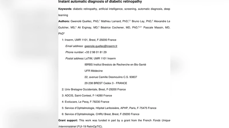 Instant automatic diagnosis of diabetic retinopathy
