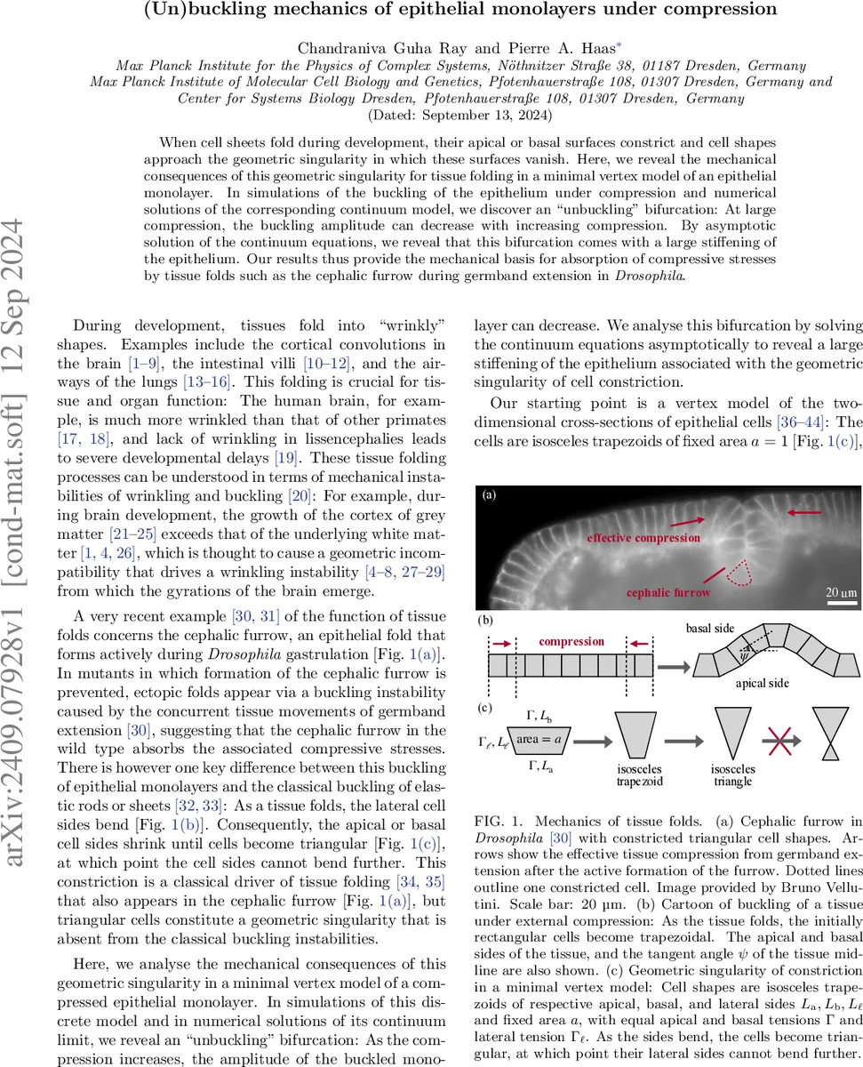 Phase Transformation Kinetics Model for Metals
