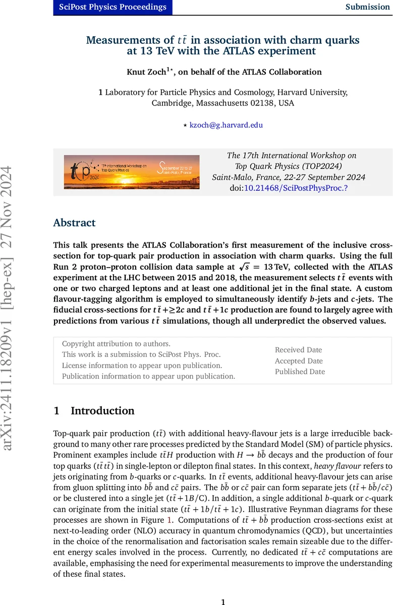 Noise-Resilient Quantum Chemistry with Half the Qubits