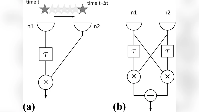 Can Transfer Entropy Infer Information Flow in Neuronal Circuits for   Cognitive Processing?