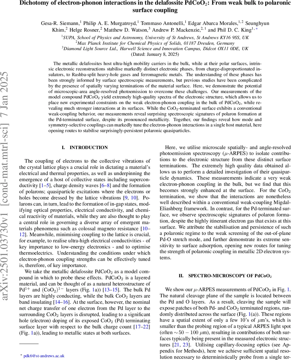 Dichotomy of electron-phonon interactions in the delafossite PdCoO$_2$: From weak bulk to polaronic surface coupling