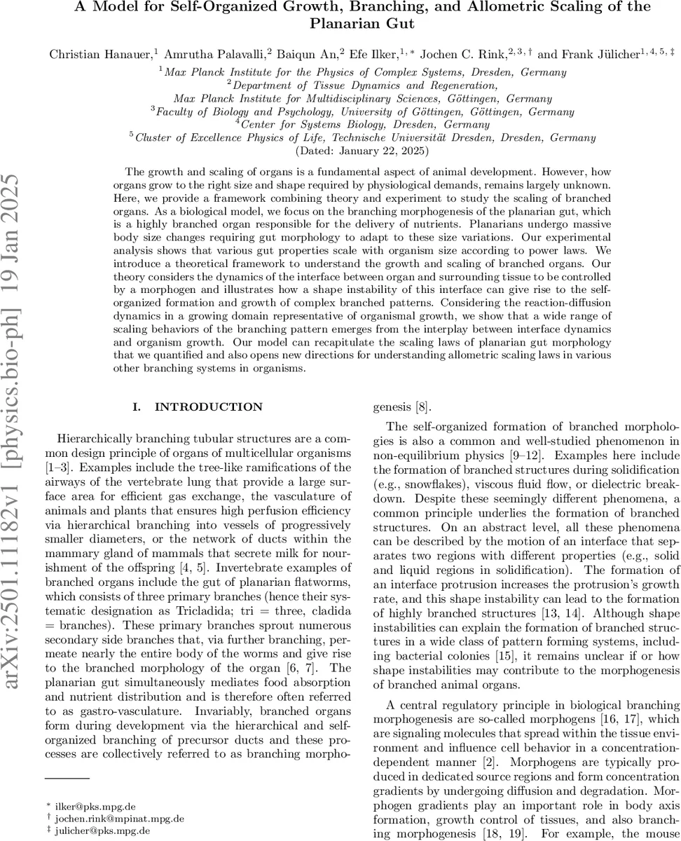 A Possible "Too-Many-Satellites" Problem in the Isolated Dwarf Galaxy DDO 161