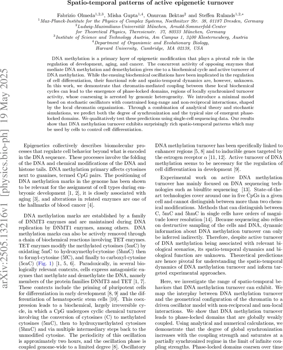 Benchmarking the Energy Savings with Speculative Decoding Strategies