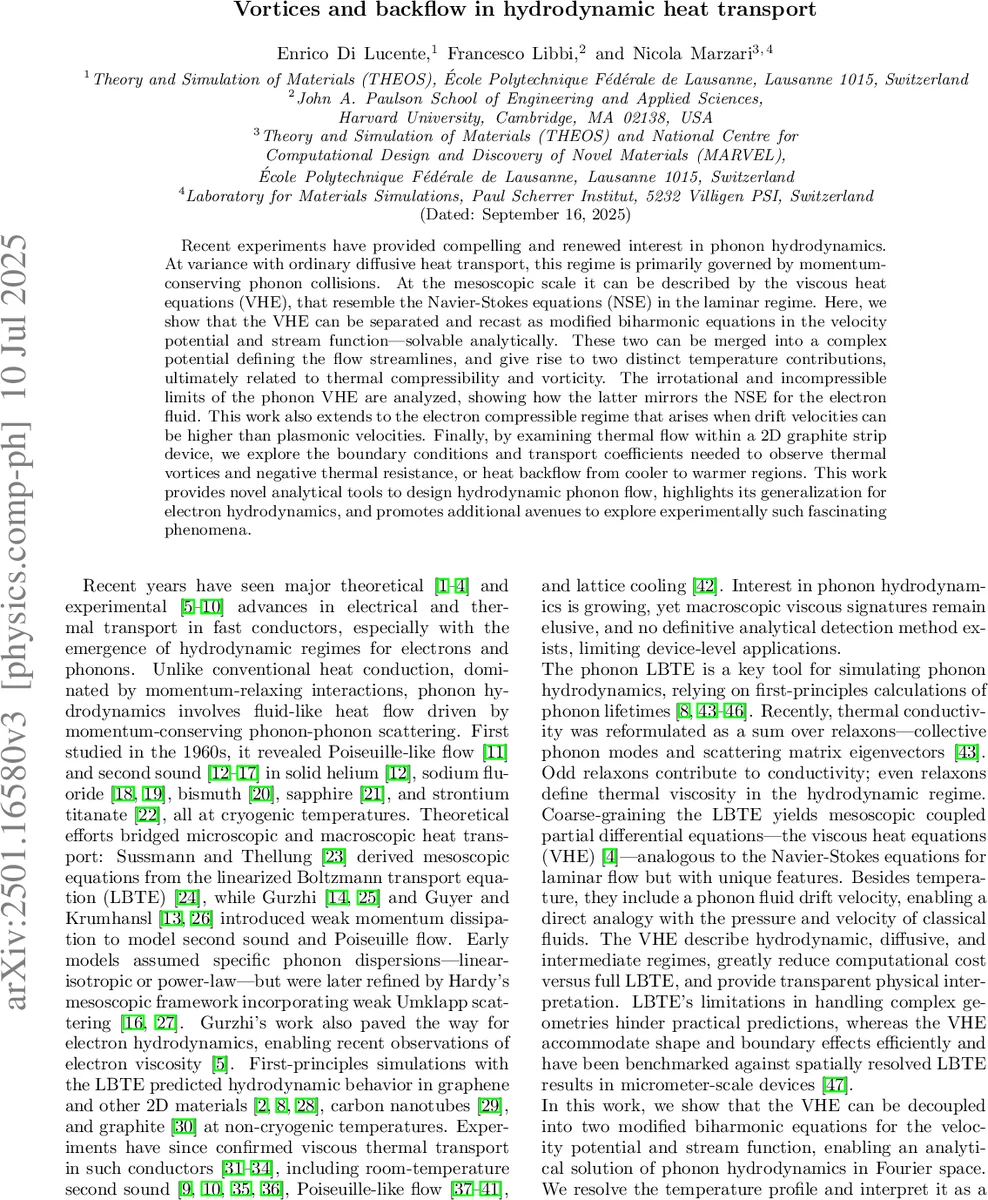 Vortices and backflow in hydrodynamic heat transport