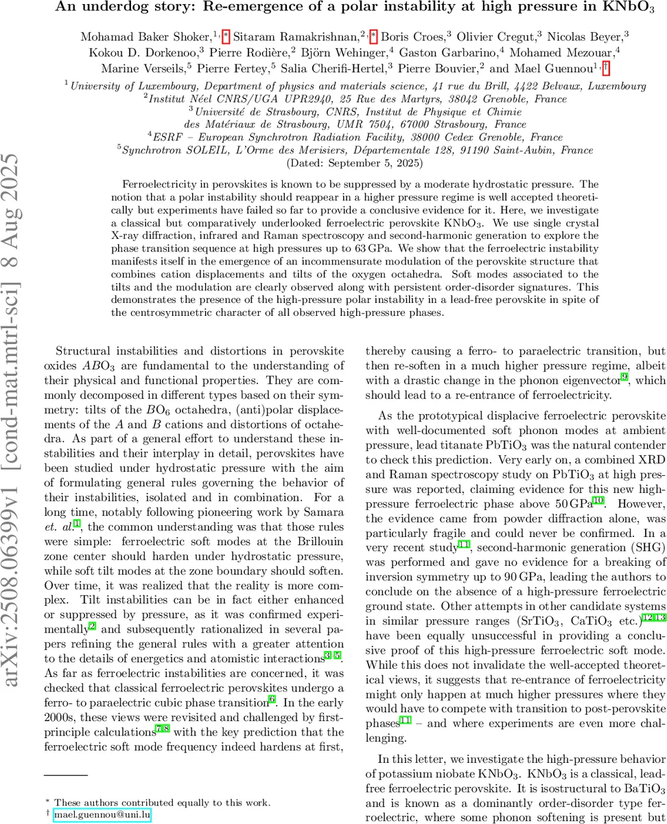 Loop Series Expansions for Tensor Networks