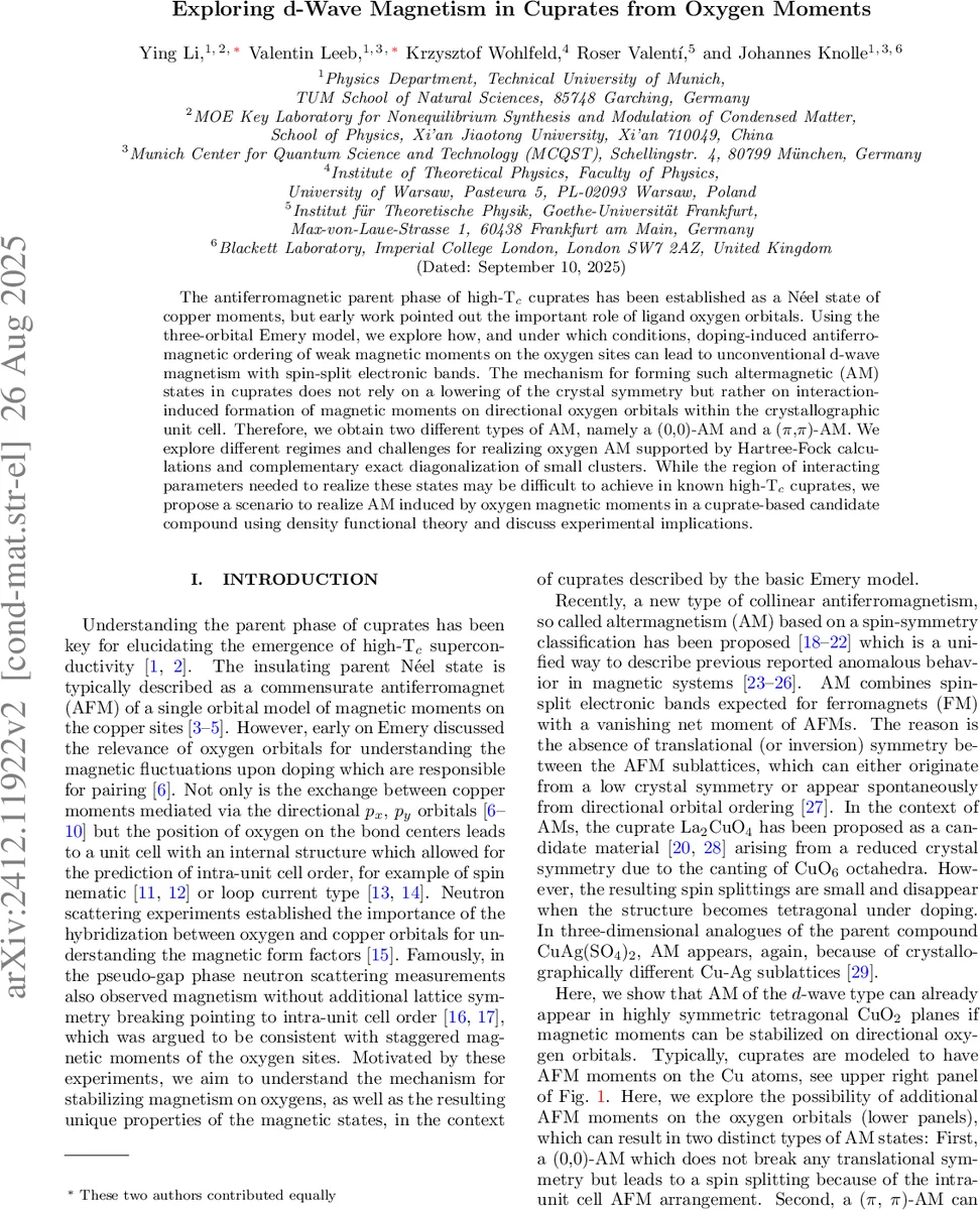 Exploring d-Wave Magnetism in Cuprates from Oxygen Moments