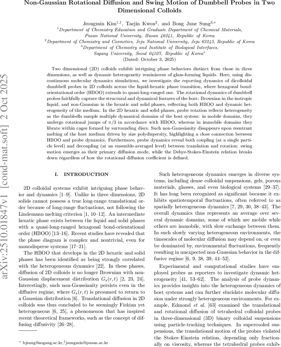 Non-Gaussian Rotational Diffusion and Swing Motion of Dumbbell Probes in Two Dimensional Colloids