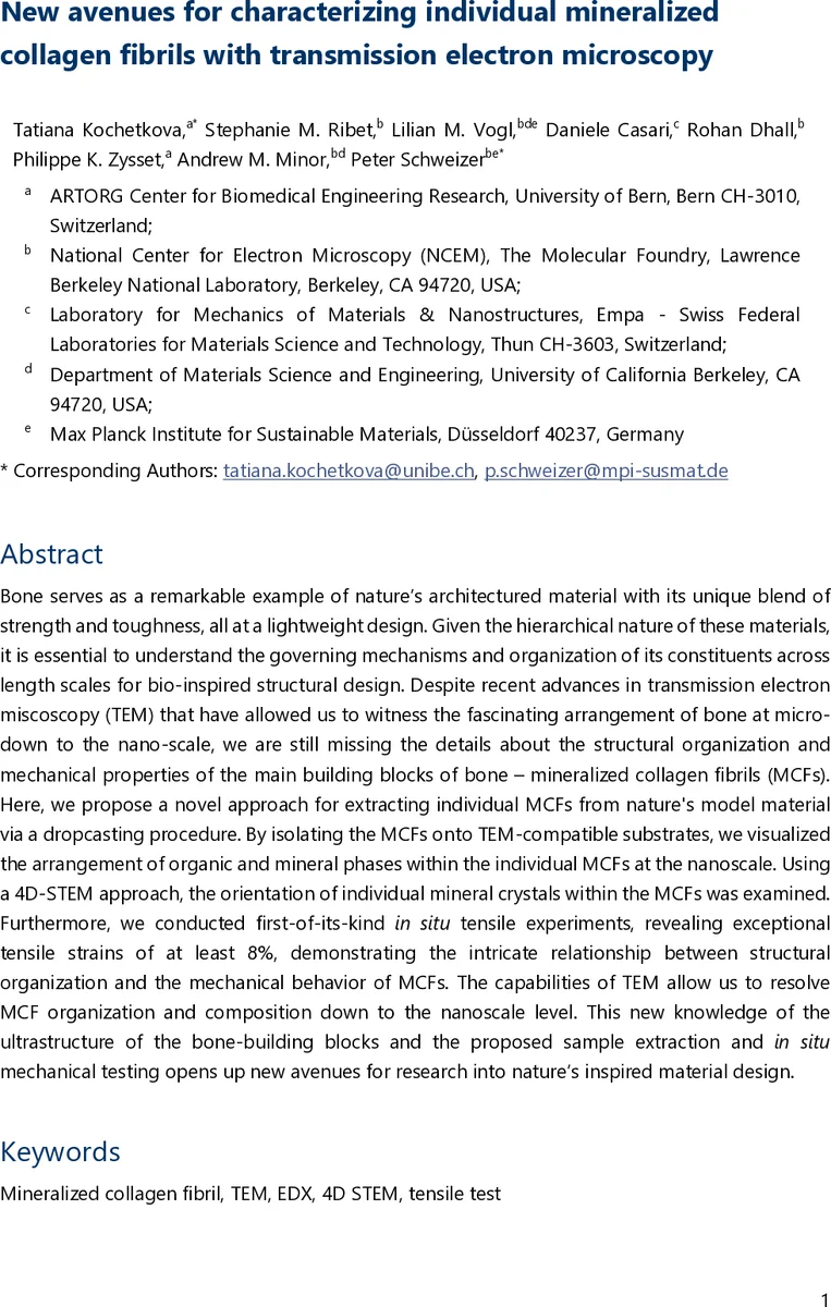 New avenues for characterizing individual mineralized collagen fibrils with transmission electron microscopy