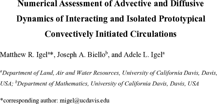 "Filtering" CFTs at large N: Euclidean Wormholes, Closed Universes, and Black Hole Interiors