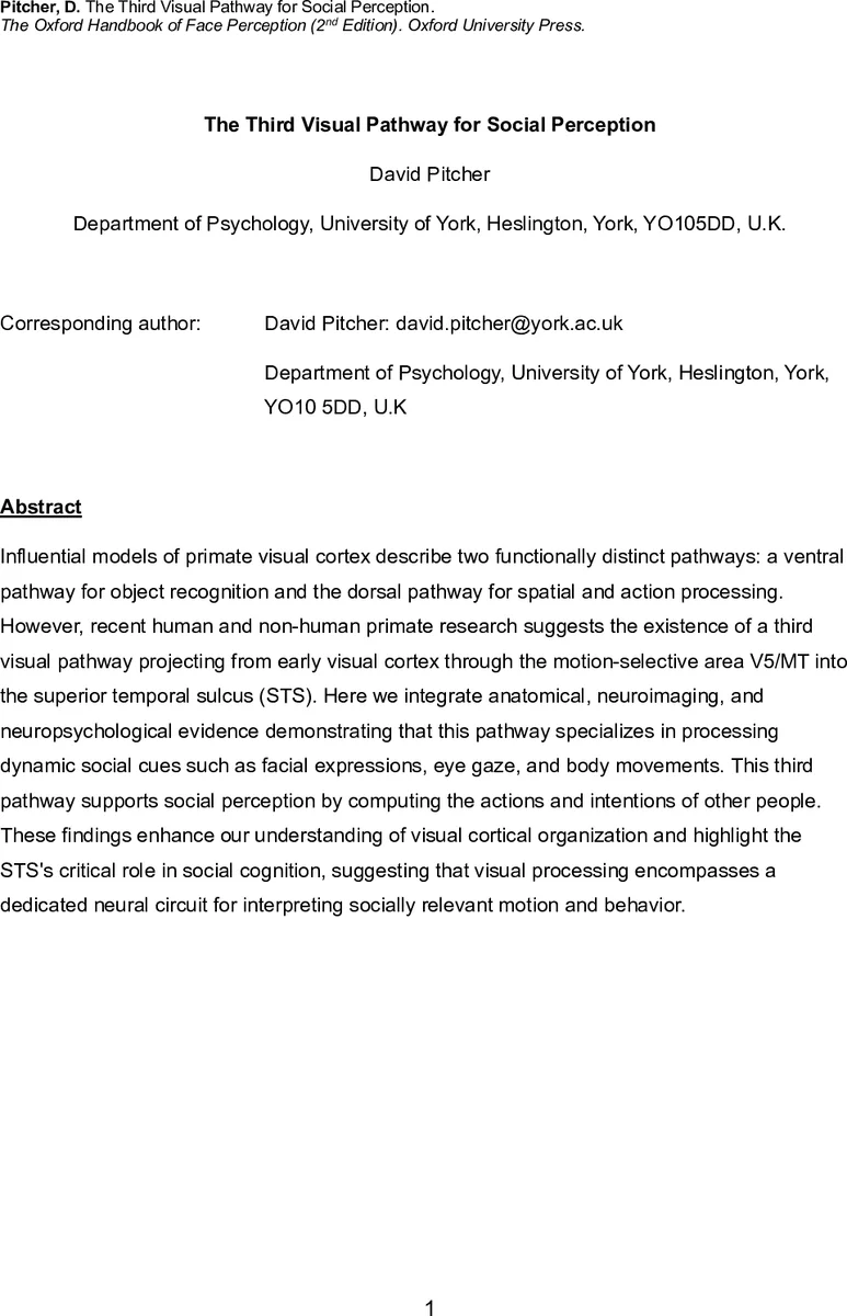 The Third Visual Pathway for Social Perception