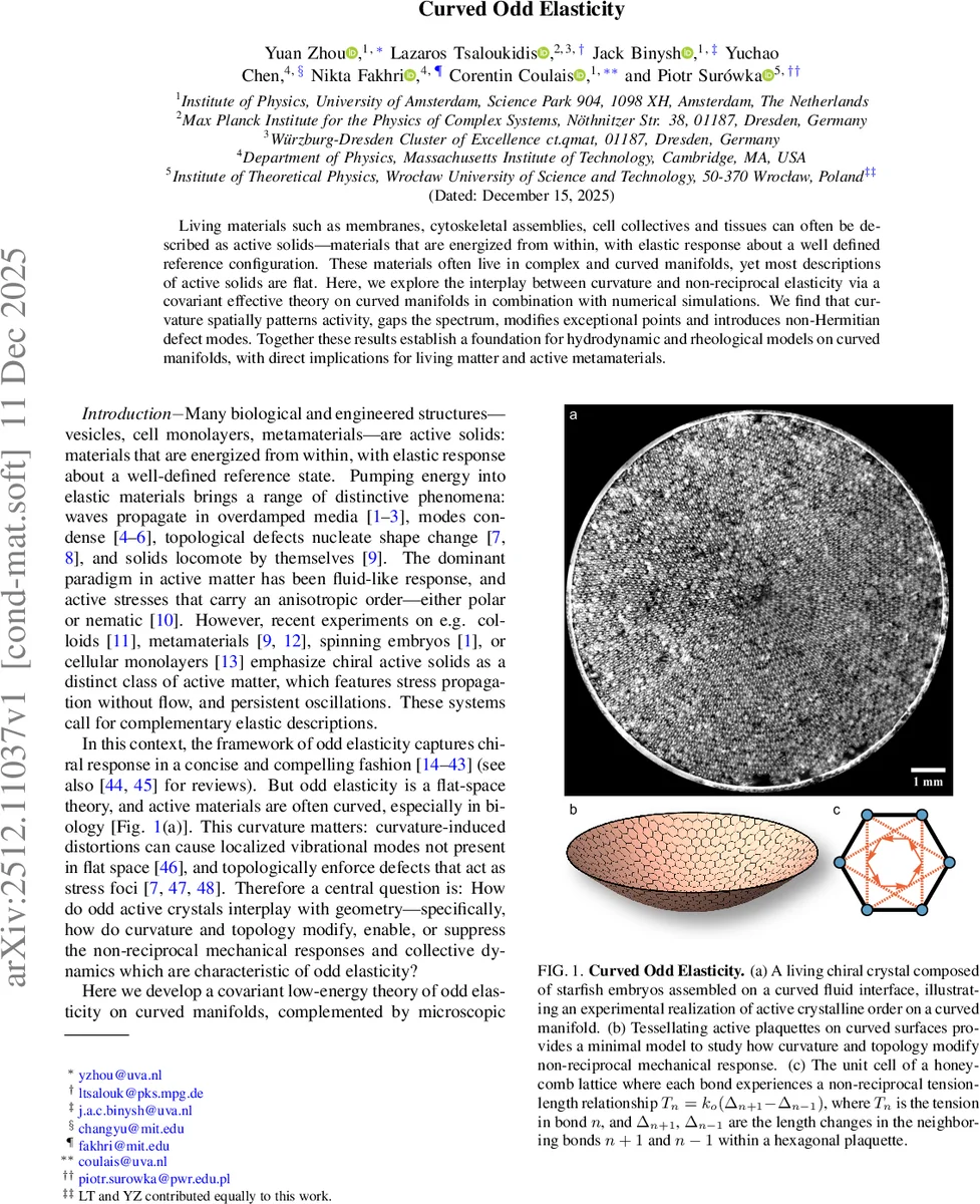 Solar-cycle variations in meridional flows and rotational shear within the Sun's near-surface shear layer
