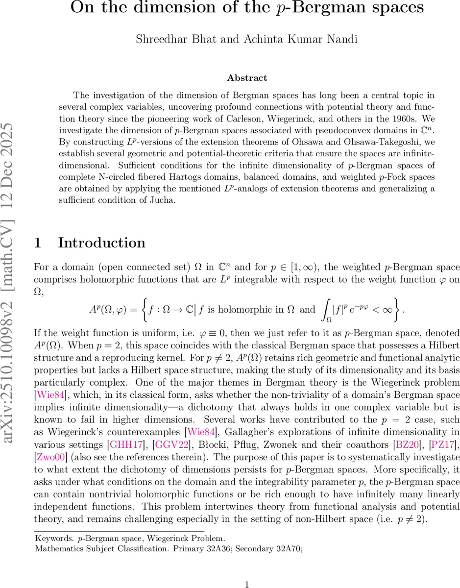 On the dimension of the $p$-Bergman spaces