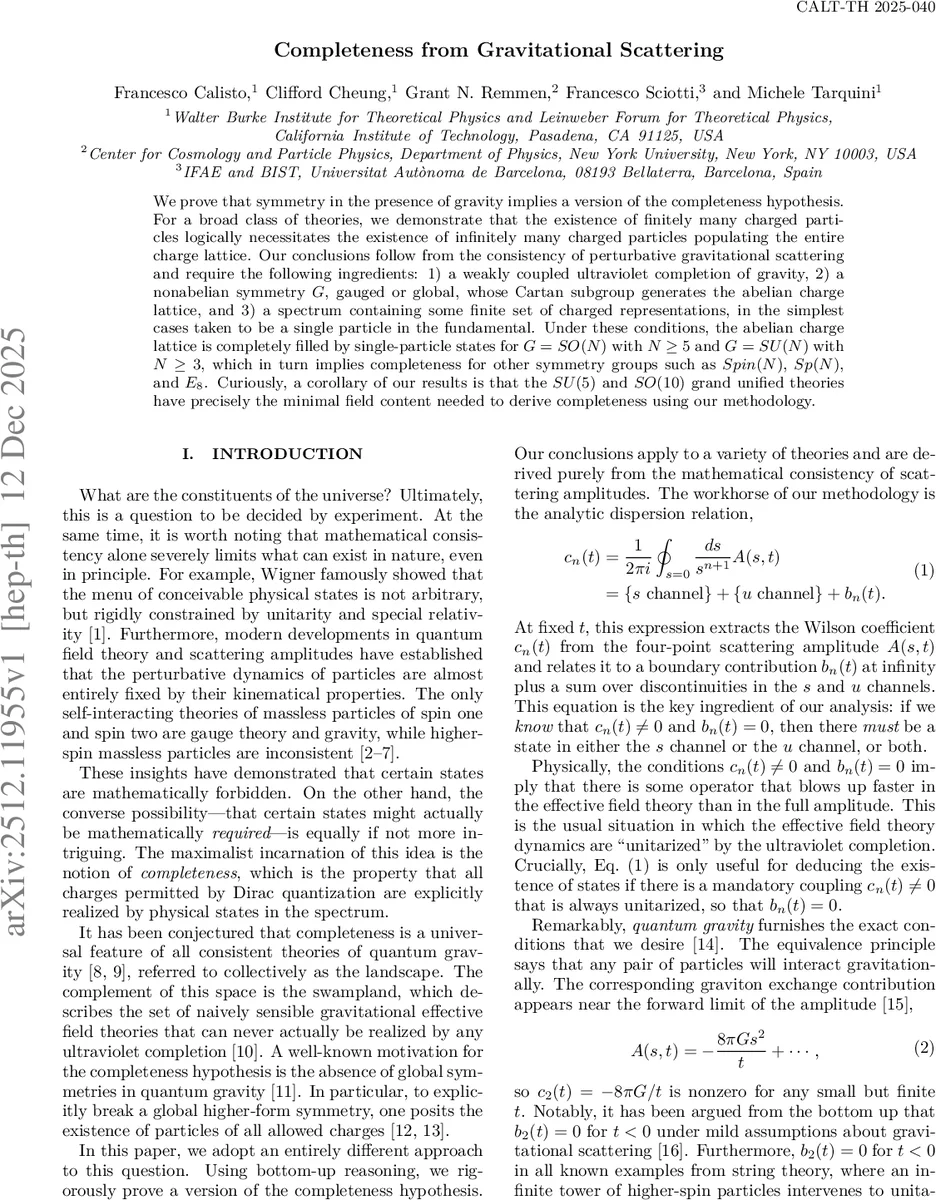 Nuclear magnetic resonance on a single atom with a local probe