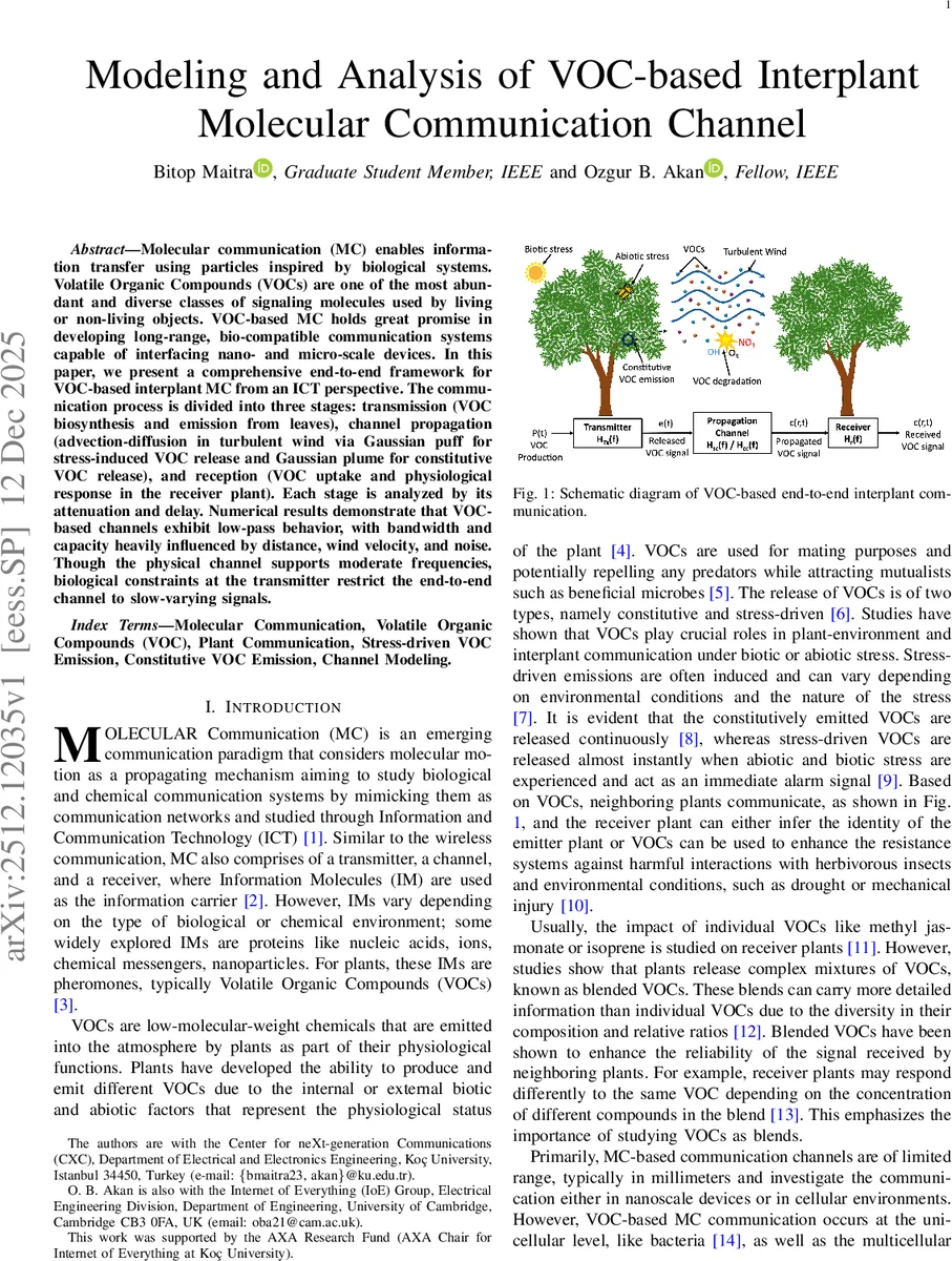 Beyond Early-Token Bias: Model-Specific and Language-Specific Position Effects in Multilingual LLMs