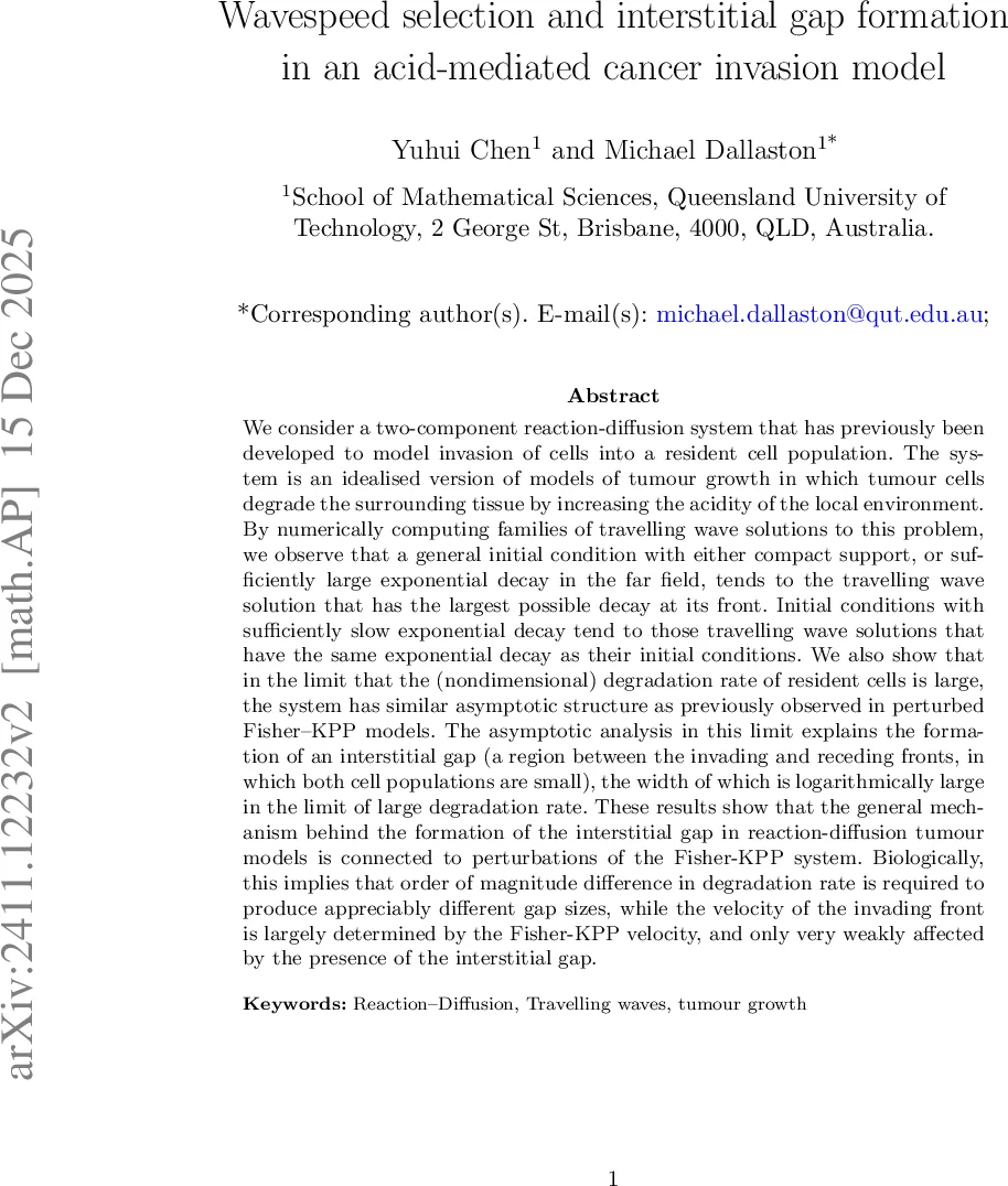 A single-layer framework of variational tensor network states