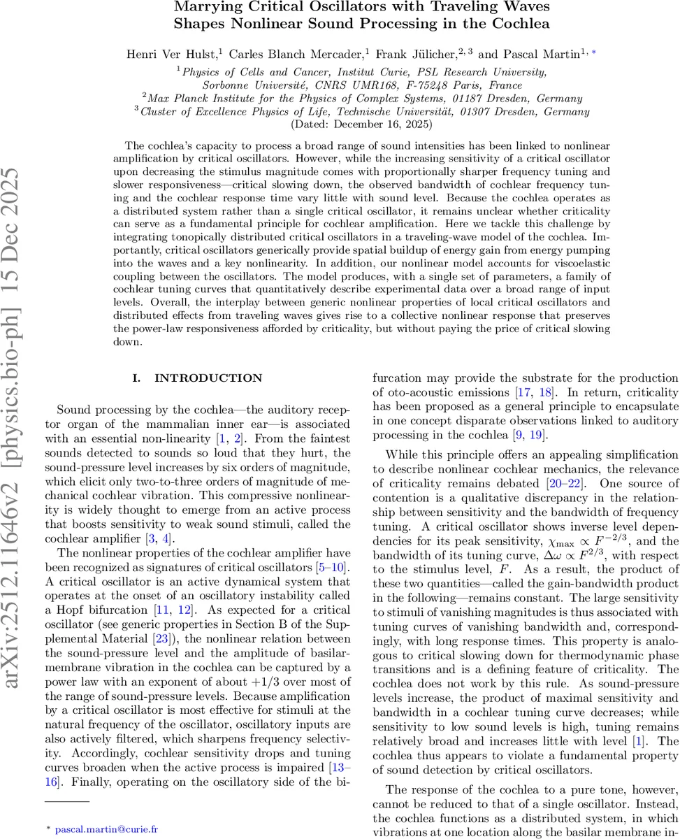 3D Software Synthesis Guided by Constraint-Expressive Intermediate Representation