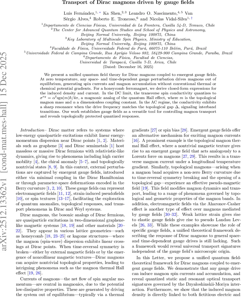 Transport of Dirac magnons driven by gauge fields