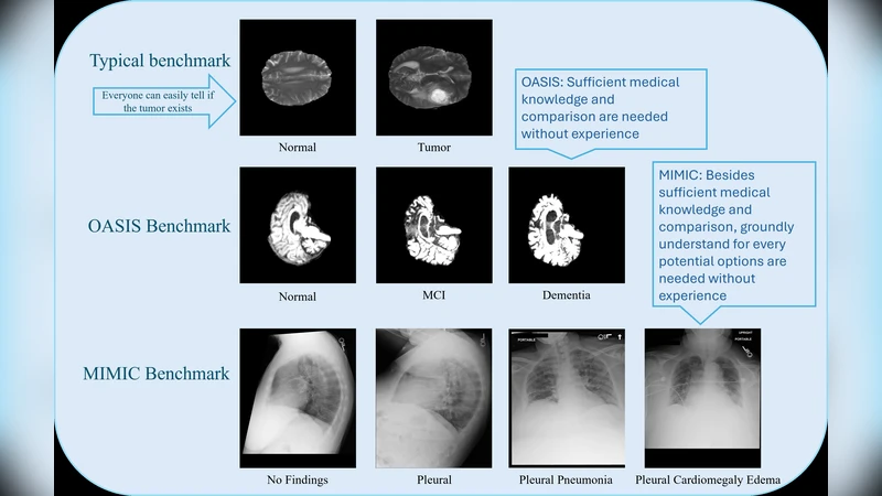 Model of collimated jets with high energy particles
